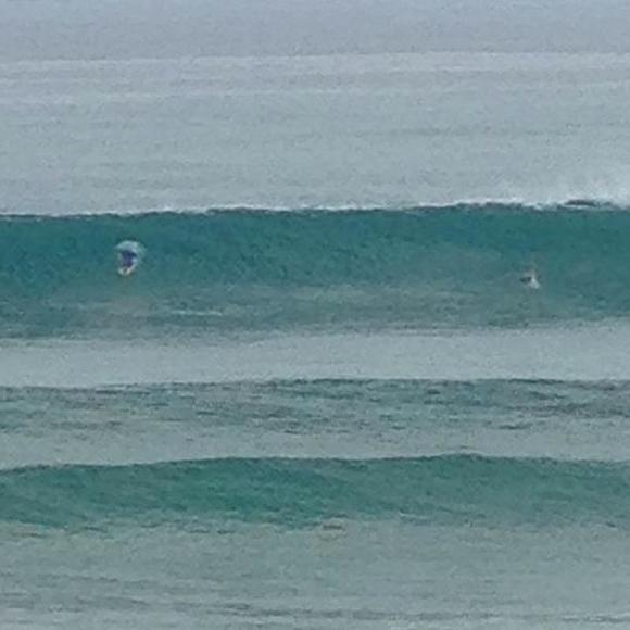 Meet your Posher, Scott - Picture 1 of 1